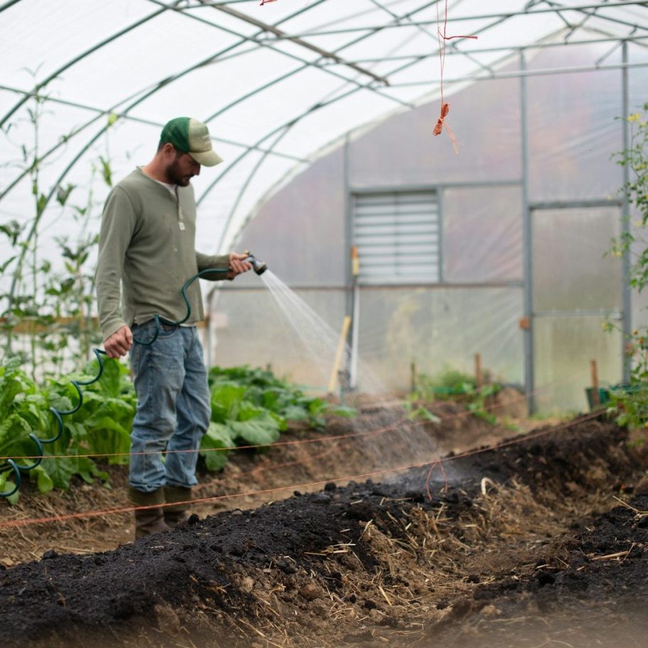 Objektbetreuung Nürnberg | Grünanlagenpflege & Bewässerung Objektbetreuung in Nürnberg – Mitarbeiter bewässert Beete im Gewächshaus als Teil der Grünanlagenpflege.